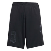 Trainingsshorts MINECRAFT