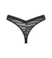 String FREE EVOLVE