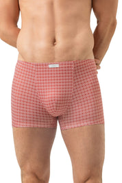 Shorty gemustert