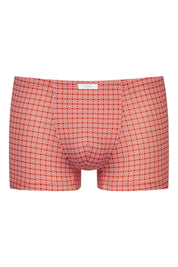 Shorty gemustert