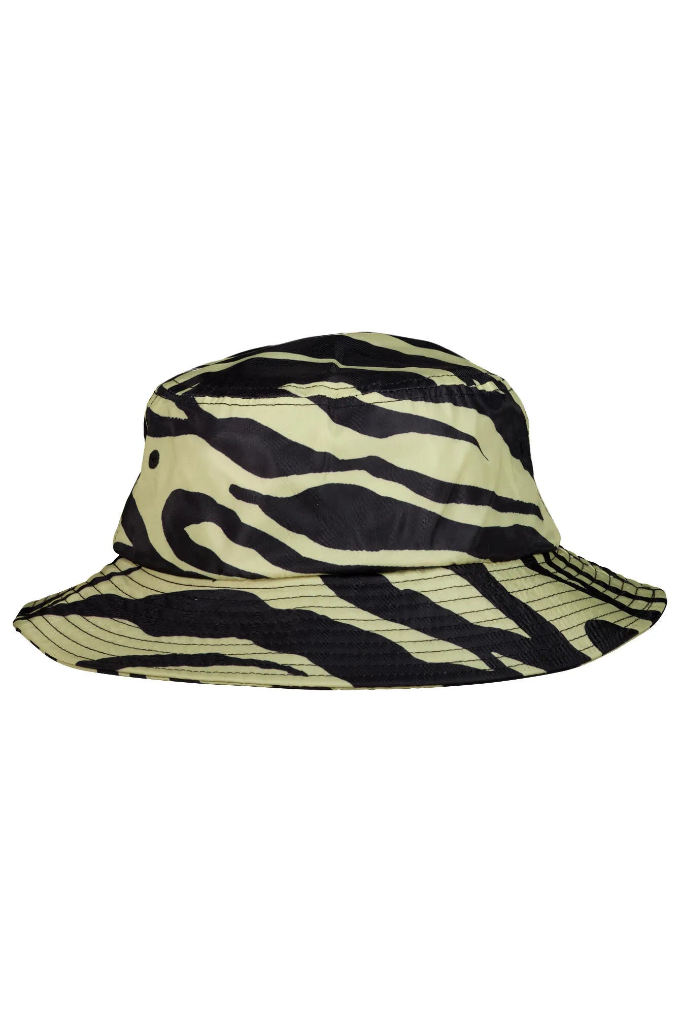 Buckethat Zebra
